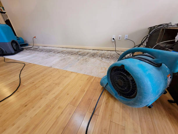 Professional Structural Drying technician working in Blanco, TX